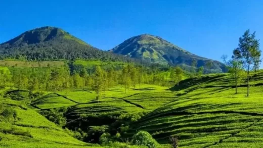 Tourist Attractions in Solok that Must be Visited to Enjoy the Natural Beauty of Sumatra